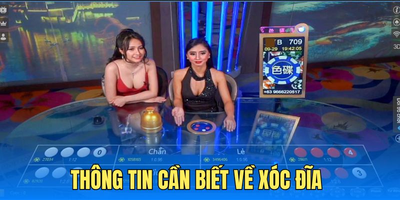 Tìm hiểu về trò chơi xóc đĩa online đình đám hiện nay 